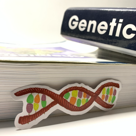 Candy DNA molecule